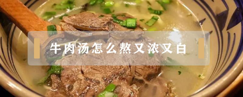 牛肉汤怎么熬又浓又白（牛肉汤怎么熬又浓又白窍门）