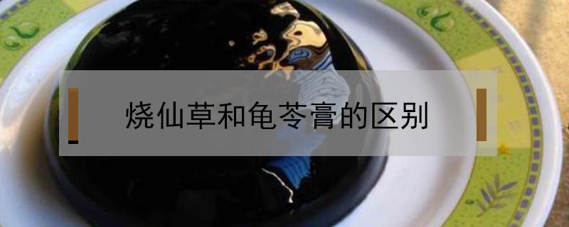 烧仙草和龟苓膏的区别 龟苓膏