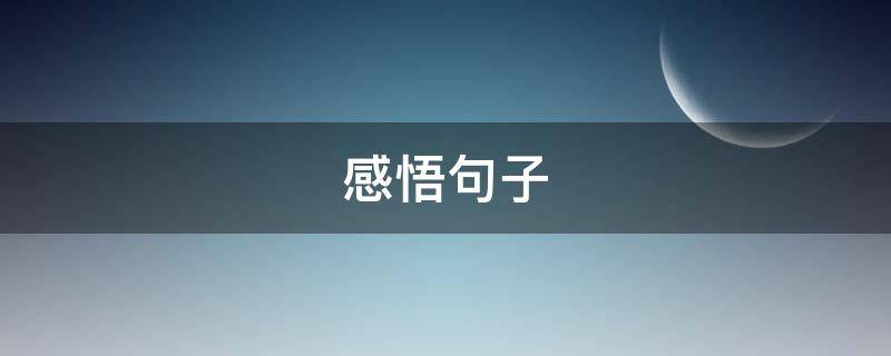 感悟句子（人生感悟句子）