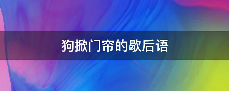 狗掀门帘的歇后语 狗掀门帘的歇后语下一句是什么