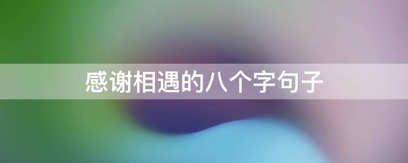 感谢相遇的八个字句子（感谢相遇的八个字句子友谊）