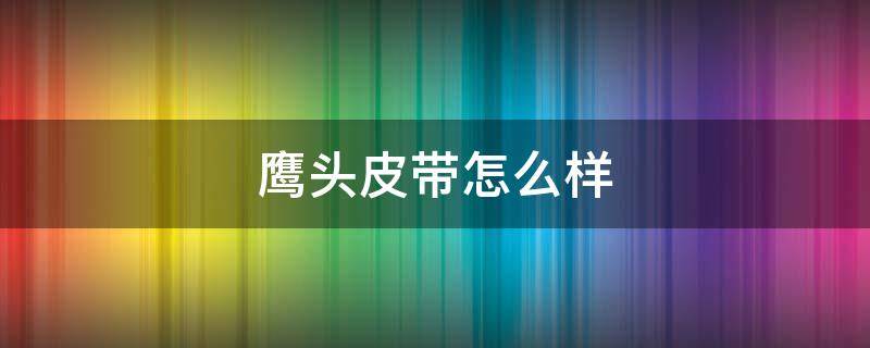 鹰头皮带怎么样 鹰头皮带多少钱一条