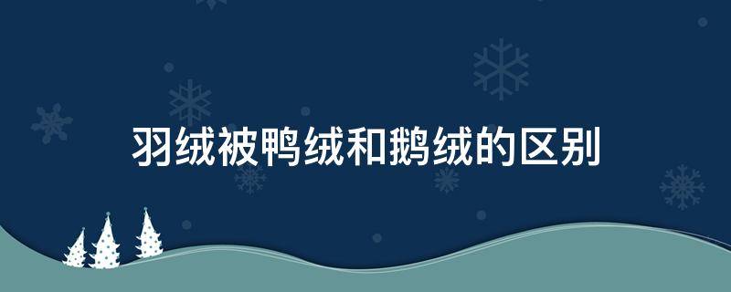 羽绒被鸭绒和鹅绒的区别（鹅绒羽绒被和鸭绒羽绒被有什么区别）