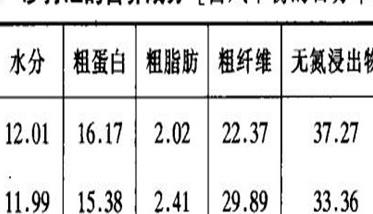 沙打旺怎样羊才爱吃（沙打旺羊喜欢吃吗）