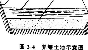 黄鳝养殖池怎样建造（黄鳝养殖池怎样建造好）