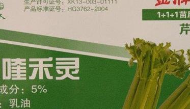 芹菜除草剂如何选择（芹菜除草剂如何选择?使用方法是什么?）