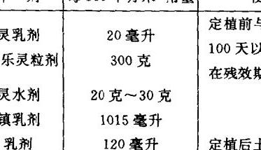 青花菜定植方法（青菜移栽定植）