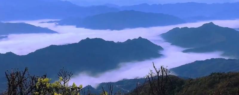 雪峰山主峰在哪个县（雪峰山最高峰在哪里）