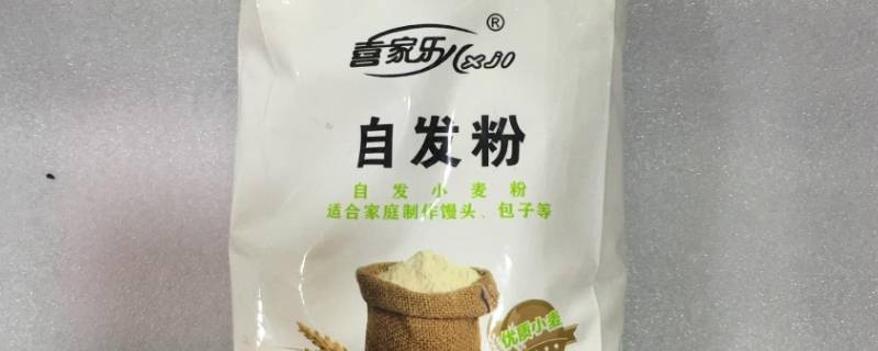 自发粉做包子要不要醒发（自发粉做包子要醒多久）