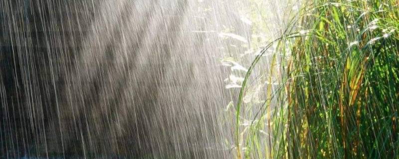 梅雨是对流雨还是锋面雨 梅雨属于锋面雨还是对流雨