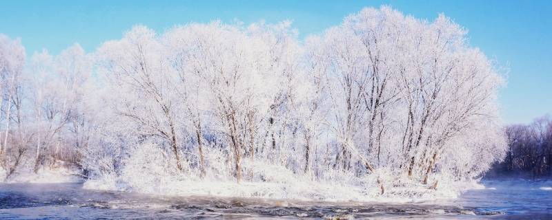 树挂和雾凇的区别（雪挂和雾凇）