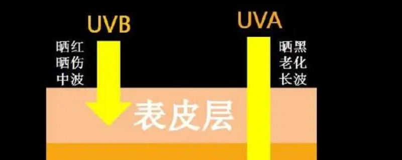 uva指的是什么（uva指的是什么意思）