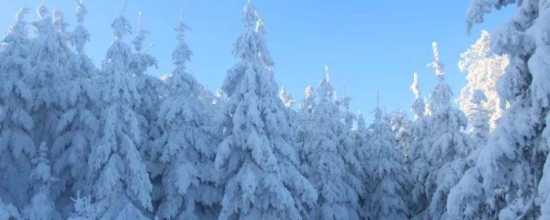 阵雪大还是小雪大 阵雪大不大