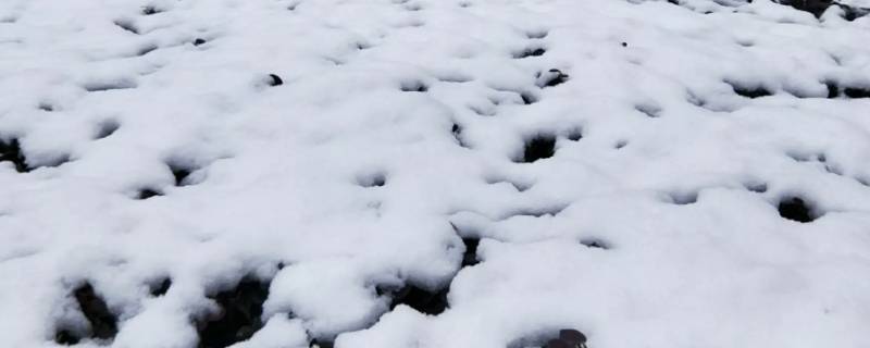 为什么水泥地不容易积雪 下雪为什么地面不积雪