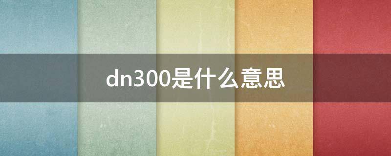 dn300是什么意思（管道dn300是什么意思）