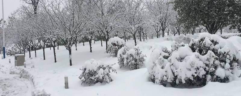 干雪和湿雪的区别（干雪和湿雪有什么区别）