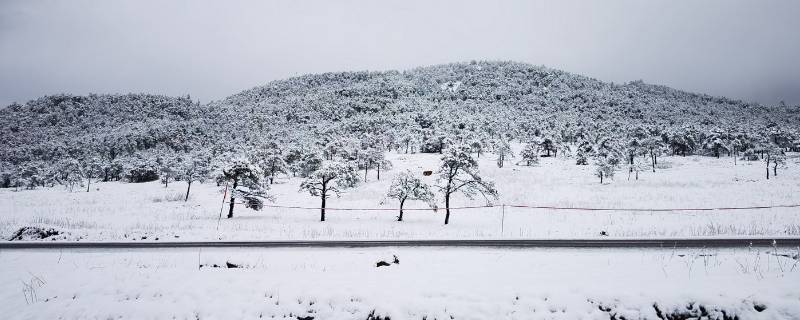 看雪去哪个城市 看雪去哪个城市旅游