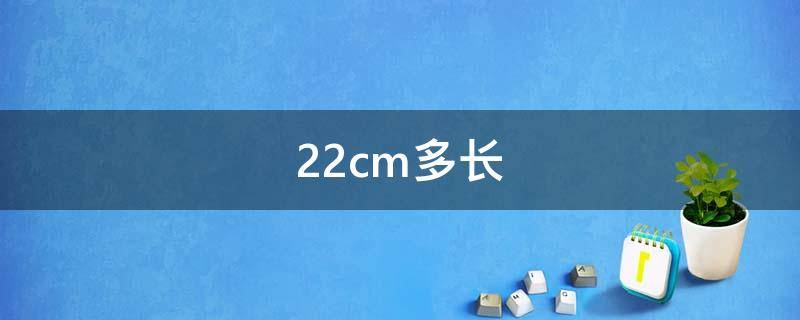 22cm多长（22cm多长握在手里）