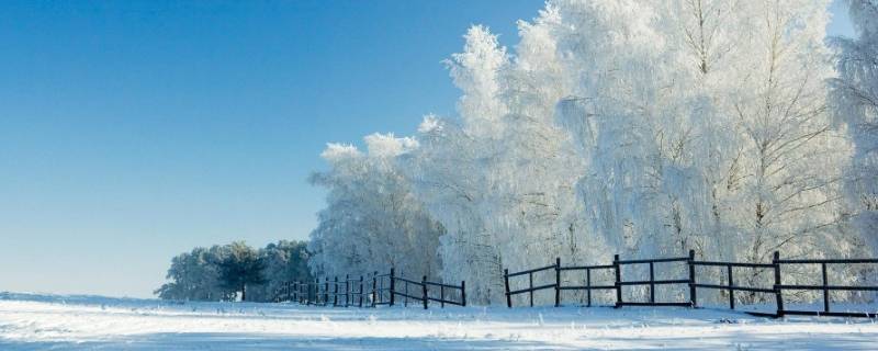 盐能化雪吗（盐为啥能化雪）