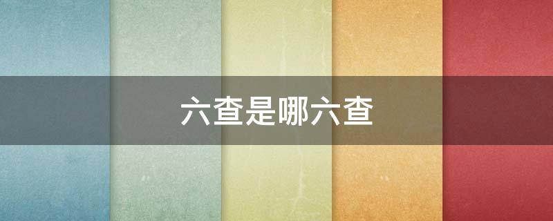 六查是哪六查（公务员六查是哪六查）