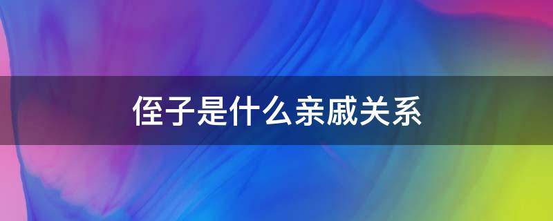 侄子是什么亲戚关系 侄子是什么亲戚关系组成的