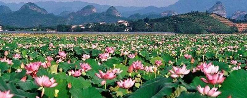 广昌县景点（广昌旅游必去十处景点）