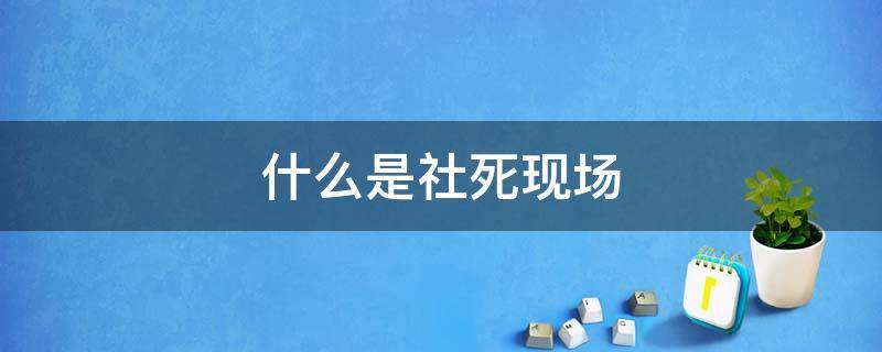 什么是社死现场（你经历过哪些社死现场）