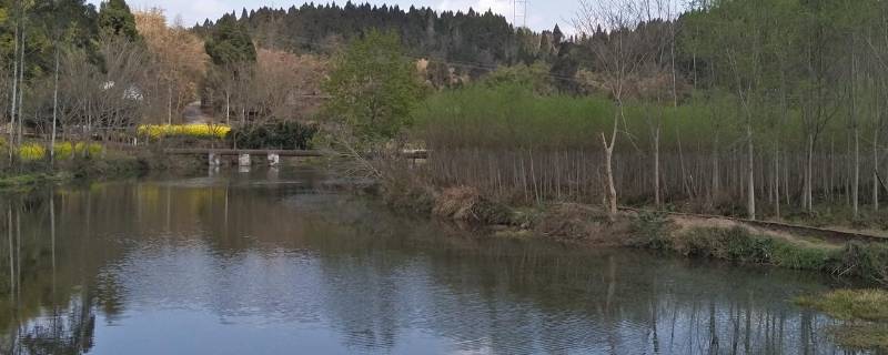 井研县景点（井研县风景名胜区）