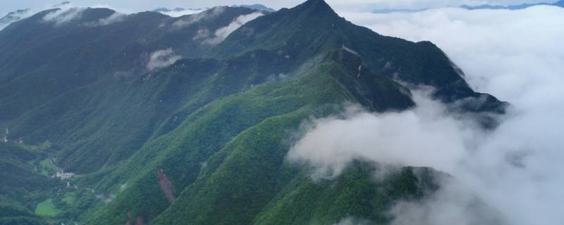 镇坪县景点 镇坪县周边有啥景点