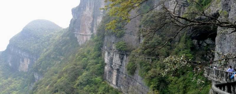 南川区景点（南川区景点解说内容）