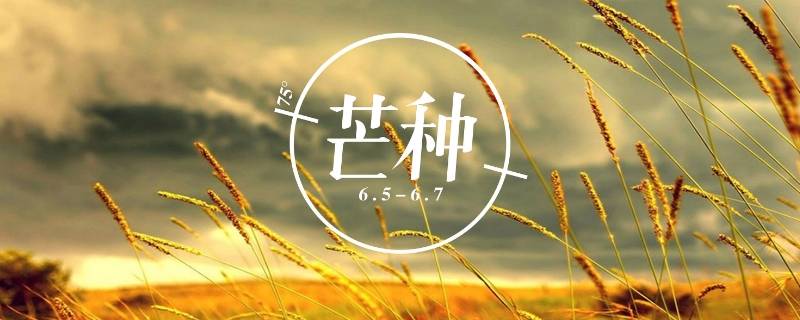 芒种又被称为什么（芒种又称作什么）