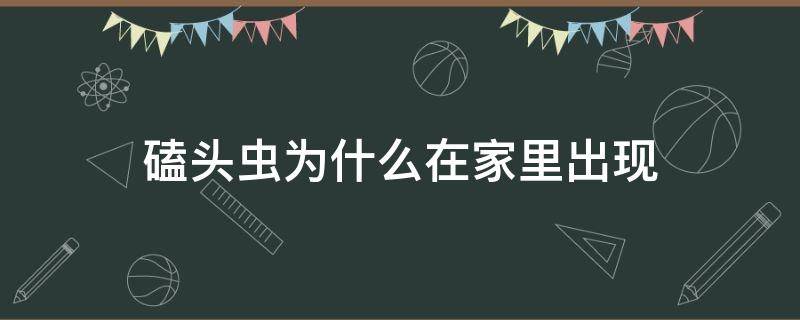 磕头虫为什么在家里出现 家里磕头虫是从哪里进来的