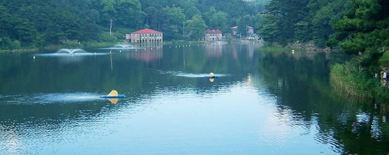 濂溪区景点（濂溪区旅游景点）