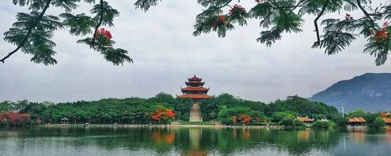 鲤城区景点（泉州鲤城景点推荐）