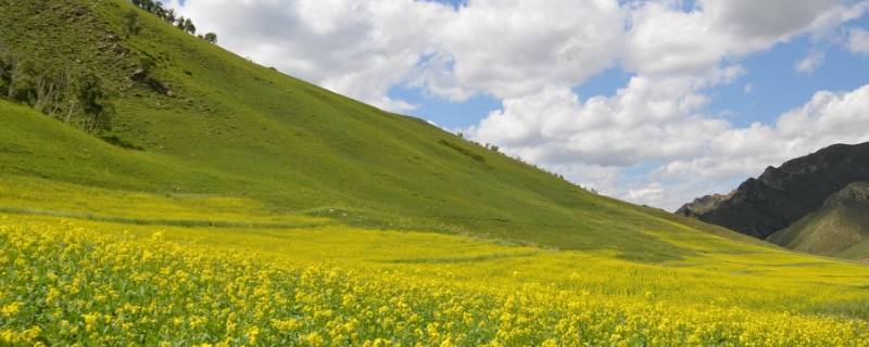 山地有哪些 南方地区山地有哪些