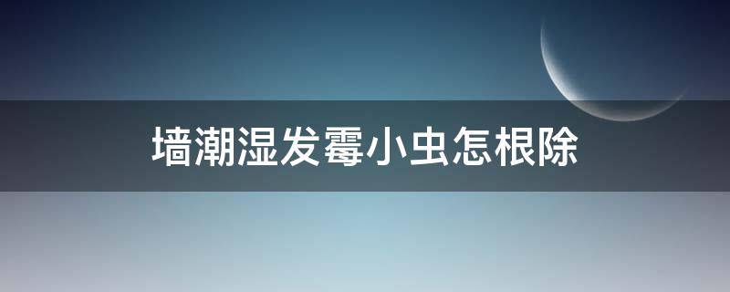 墙潮湿发霉小虫怎根除（墙面潮湿有小虫子怎么处理）