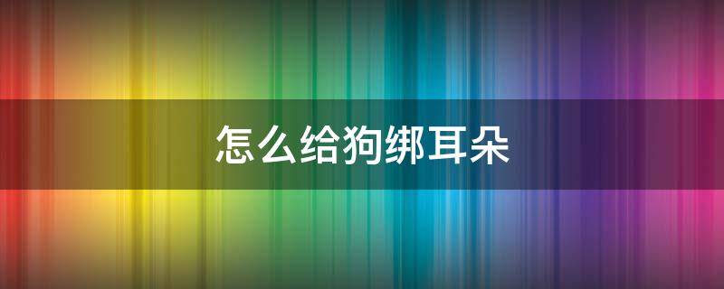 怎么给狗绑耳朵 帮狗绑耳朵的方法图片