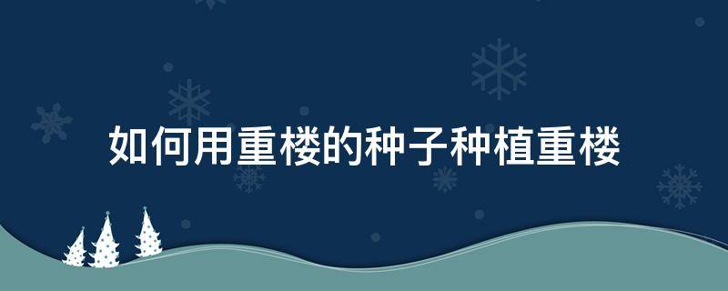 如何用重楼的种子种植重楼 怎样种植重楼种子和育苗技术