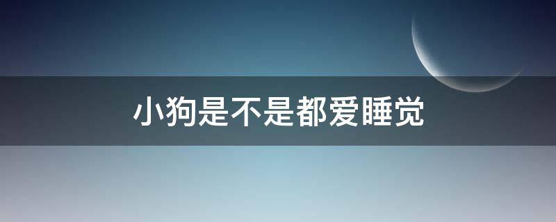 小狗是不是都爱睡觉 小狗是不是都很爱睡觉