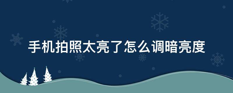 手机拍照太亮了怎么调暗亮度 手机怎么把照片亮度调暗