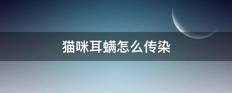 猫咪耳螨怎么传染 猫咪耳螨怎么传染给人怎么办