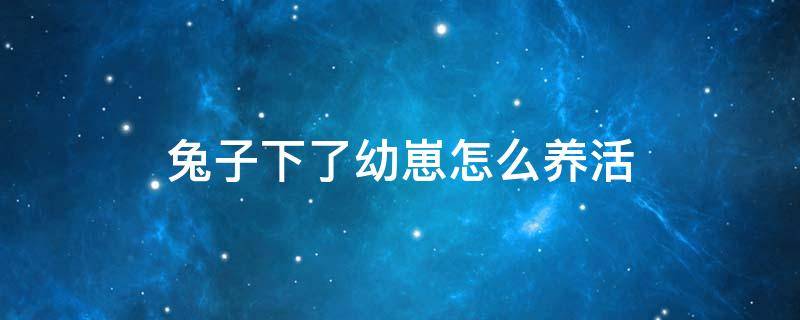 兔子下了幼崽怎么养活（兔子下了幼崽怎么养活,要不要注射针）