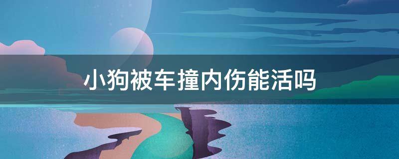 小狗被车撞内伤能活吗 狗狗被车撞内伤能活多久