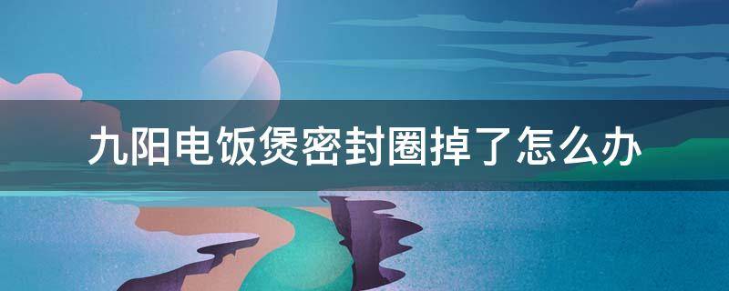 九阳电饭煲密封圈掉了怎么办（电饭煲盖子密封圈掉了怎么办）