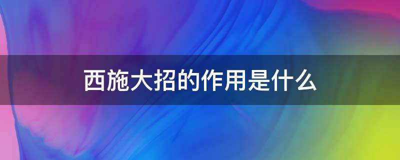 西施大招的作用是什么（西施是什么技能）