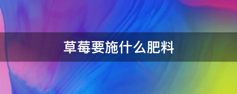 草莓要施什么肥料 草莓要施加什么肥料