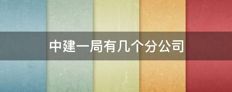 中建一局有几个分公司 中建一局有几个分公司,都在哪里