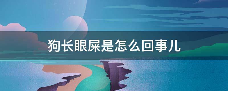 狗长眼屎是怎么回事儿 狗狗老长眼屎是怎么回事