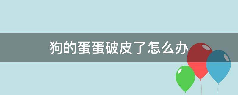 狗的蛋蛋破皮了怎么办 狗狗蛋蛋破皮了怎么办