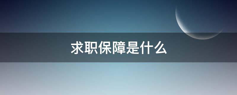 求职保障是什么（求职者保障）